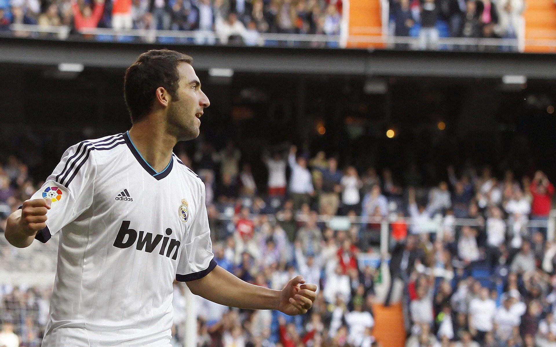 自由泳巅峰对决，世界纪录保持者与新生代天才泳将的激烈角逐